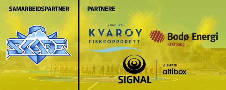 esport partnere.png
