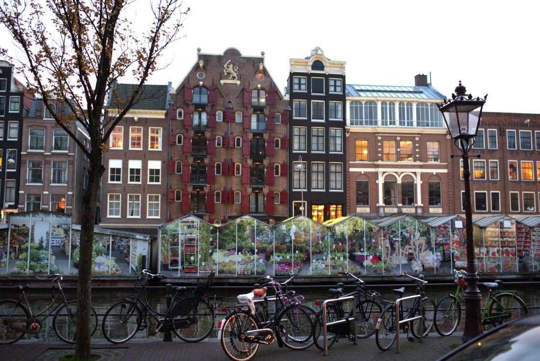 _DSC0687.jpg
